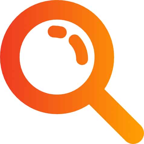 Search and Shopping